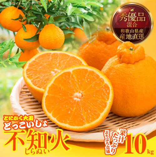 MK1012_不知火 (しらぬい) とにかく大玉 どっこいしょ 箱込 10kg (内容量約 9.2kg) 秀品 優品 混合 2516223 - 和歌山県湯浅町