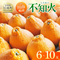 宮崎県川南町産「不知火(しらぬい)」6〜10玉 [ 果物 くだもの フルーツ しらぬい 不知火 デコポン みかん ]
