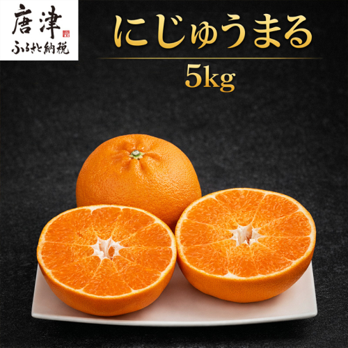 『先行予約』【令和8年3月上旬より順次発送】◎にじゅうまる◎ 5kg 佐賀県産【高級柑橘みかん】果物フルーツ 柑橘 2516341 - 佐賀県唐津市