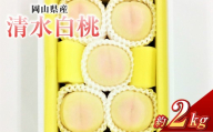 清水白桃 8玉（合計約2.0kg）果物 デザート スイーツ フルーツ 果肉 美味しい 甘い 柔らかい 上品 高級品種 贈り物 ギフト【2026年7月下旬～8月上旬迄順次発送予定】