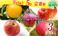 旬のりんご [ 5回 / 定期便 ] 秀 〜 特秀 3kg × 5回 関果樹園もりんご 沖縄県への配送不可 2026年8月下旬頃から2026年11月下旬頃まで順次発送予定 令和8年度収穫分 減農薬栽培 ネオニコチノイド系農薬不使用 信州 果物 フルーツ リンゴ シナノ リップ ドルチェ 秋映 スイート ゴールド 林檎 長野 予約 農家直送 長野県 飯綱町 [2089]
