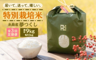 [全3回定期便]とくべつの中のとくべつ 特別栽培米 3kg 夢つくし 吉富町/(株)やました [BGBX002] 米 こめ コメ 白米 はくまい ご飯 ごはん ライス らいす ギフト 贈り物 贈答 国産 おすすめ 精米 白米 お米 ライス ごはん 米 こめ ご飯 国産