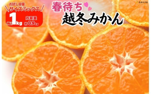 【選べる容量】みかん 春待ち 越冬みかん 箱込1kg(内容量0.9kg) ～箱込10kg(内容量9.2kg) 等級／サイズミックス 和歌山県産 産地直送 2516748 - 和歌山県有田川町