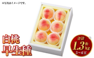 白桃 早生種 5〜6玉(約1.3kg)岡山 桃 白鳳 加納岩白桃 早生種 果肉 柔らかい 果汁 [2026年7月上旬〜7月下旬迄順次発送予定]