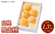 白桃 晩生種 5〜6玉(約1.3kg)岡山 桃 晩生種 白麗 瀬戸内白桃 大玉 果実 固め 果肉[2026年8月上旬〜9月下旬発送予定]