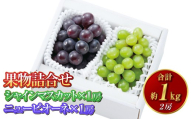 果物詰合せ 合計約1.0kg(シャインマスカット 1房・ニュー ピオーネ 1房)岡山 ぶどう シャインマスカット ニューピオーネ 詰め合わせ 皮ごと 食べられる 種なし[2026年8月下旬〜10月下旬発送予定]