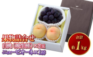 果物詰合せ 合計約1.0kg(白桃(晩生種) 2玉・ニュー ピオーネ 1房)岡山 特産 桃 ニューピオーネ 白桃 セット 詰め合わせ 贈り物 ギフト[2026年8月下旬〜9月下旬発送予定]