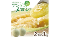 アンデスメロン　約3kg(青肉/2玉入/つる付き) SZ0323