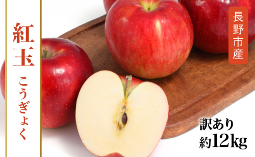 紅玉訳アリ12kg りんご 長野市産 フルーツ 2517453 - 長野県長野市