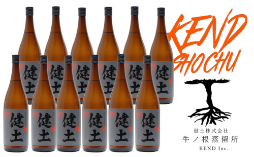 J13-2542　本格芋焼酎 健土 25度 1800ml 12本 2517644 - 鹿児島県垂水市