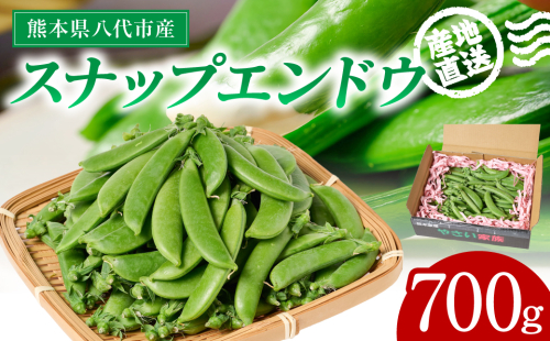 産地直送 スナップエンドウ 700g えんどう 豆 シャキシャキ食感 甘い 旬 野菜 やさい 新鮮 熊本県 八代市 2517717 - 熊本県八代市