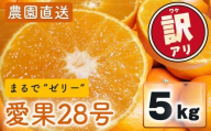 [先行予約] 愛果28号 (紅まどんな と同品種) 訳あり 家庭用 5kg (約12~30個) 光センサー選別 [2026年11月下旬頃から順次発送] | 訳あり 不揃い 柑橘 果物 フルーツ あいか みかん 松山市 愛媛県 MOTTAINAI COCOLOFARM