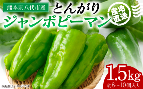 産地直送 とんがりジャンボピーマン 1.5kg 野菜 やさい 野菜炒め サラダ 夏野菜 新鮮 旬 無限ピーマン おつまみ BBQ バーベキュー 肉詰め 熊本県 八代市 2517746 - 熊本県八代市