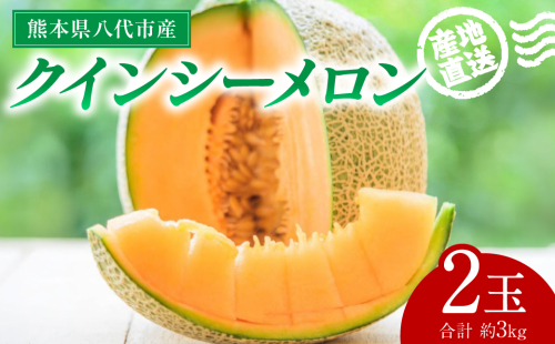 【先行予約】産地直送 クインシーメロン 2玉 約3kg クインシー メロン めろん 赤肉メロン 赤肉 果物 くだもの フルーツ デザート 贈り物 国産 熊本県 八代市【2026年5月下旬より順次発送】 2517754 - 熊本県八代市