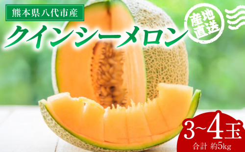 【先行予約】産地直送 クインシーメロン 3～4玉 約5kg クインシー メロン めろん 赤肉メロン 赤肉 果物 くだもの フルーツ デザート 贈り物 国産 熊本県 八代市【2026年5月下旬より順次発送】 2517755 - 熊本県八代市