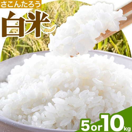 白米 5kg 10kg さこんたろう《90日以内に発送予定(土日祝除く)》熊本県 御船町 コメ おこめ 白米 ごはん 熊本県産 2517756 - 熊本県御船町