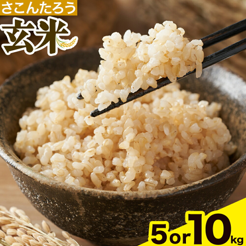 玄米 5kg 10kg さこんたろう《90日以内に発送予定(土日祝除く)》熊本県 御船町 コメ おこめ ごはん 熊本県産 2517757 - 熊本県御船町