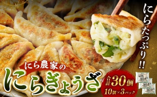 ＜にら農家の『にらぎょうざ』 30個（約240g （10個）×3パック）＞翌月末迄に順次出荷 にらぎょうざ にら餃子 にらギョウザ ニラ餃子 餃子 ぎょうざ ギョウザ 惣菜 おかず 韮 ニラ 冷凍 2517805 - 宮崎県高鍋町
