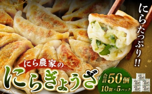 ＜にら農家の『にらぎょうざ』 50個（約240g （10個）×5パック）＞翌月末迄に順次出荷 にらぎょうざ にら餃子 にらギョウザ ニラ餃子 餃子 ぎょうざ ギョウザ 惣菜 おかず 韮 ニラ 冷凍 2517806 - 宮崎県高鍋町