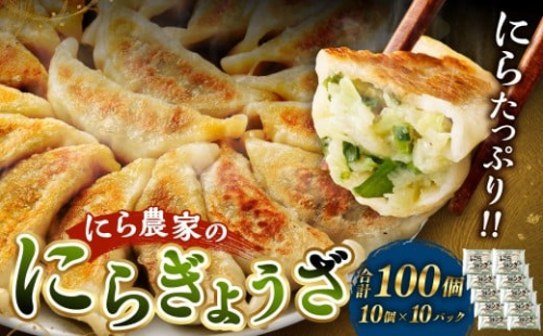 ＜にら農家の『にらぎょうざ』 100個（約240g （10個）×10パック）＞翌月末迄に順次出荷 にらぎょうざ にら餃子 にらギョウザ ニラ餃子 餃子 ぎょうざ ギョウザ 惣菜 おかず 韮 ニラ 冷凍 2517807 - 宮崎県高鍋町