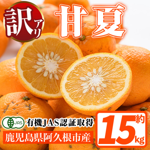 訳あり！有機JAS 甘夏(約15kg) 国産 果実 果物 フルーツ 柑橘 デザート 訳アリ 期間限定 有機栽培 【中村農場】akn084-08 2517810 - 鹿児島県阿久根市