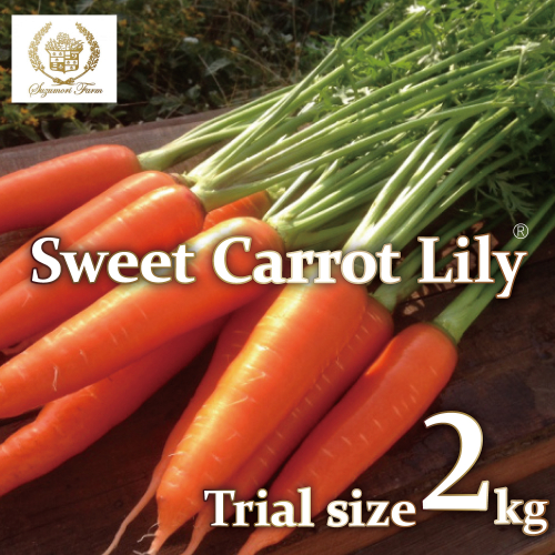 メディア出演多数！！ 【期間限定】 （ お試し ） 鈴盛農園の甘～いにんじん 『スウィートキャロットリリィ』 2kg 人参 甘い ご家庭用 ジュース サラダ スムージー ジューシー 安心 試用 自慢 H022-016 2517976 - 愛知県碧南市