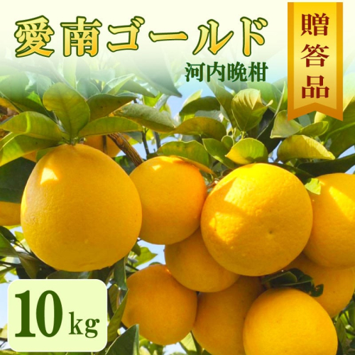 贈答用 愛南ゴールド（河内晩柑）約10kg みかん 蜜柑 河内晩柑 グレープフルーツ ギフト 贈答品 お祝い プレゼント 果実 ジュース ゼリー 正品 人気 果汁 さわやか 甘い 夏 デザート 柑橘 果物 フルーツ 前田ファーム 愛媛 愛南 【発送期間 3月下旬～5月上旬 】(なくなり次第終了) 2518051 - 愛媛県愛南町