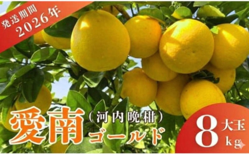 先行予約 2026年発送 愛南ゴールド（河内晩柑）大玉 約8kg みかん 蜜柑 河内晩柑 グレープフルーツ 柑橘 果物 フルーツ 前田ファーム 愛媛 愛南 【発送期間 3月下旬～5月上旬 】(なくなり次第終了) 2518075 - 愛媛県愛南町