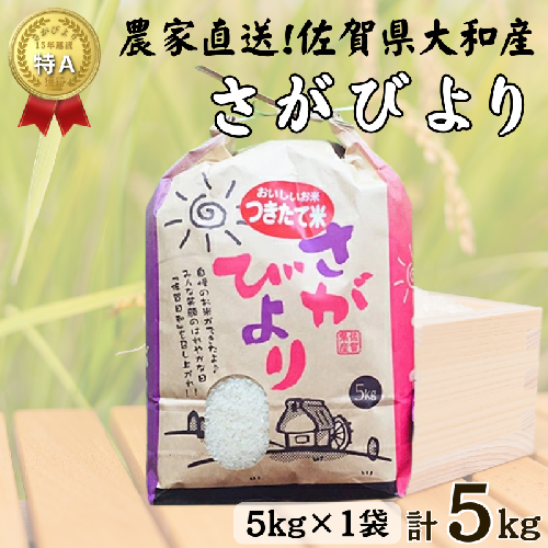 佐賀県大和産「さがびより」5kg 米 農家直送：B170-033 2518124 - 佐賀県佐賀市