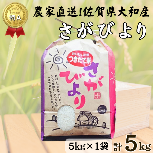 佐賀県大和産「さがびより」5kg 米 農家直送：B170-033 2518124 - 佐賀県佐賀市
