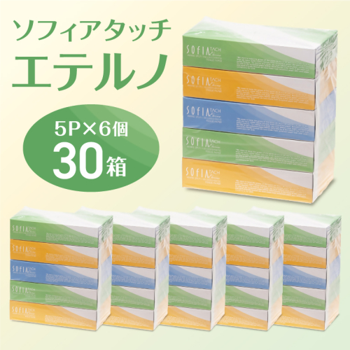 0007-107-01 マスコー製紙 ソフィアタッチ エテルノ ティッシュペーパー 150組×5箱×6パック (30箱) 2518221 - 静岡県富士宮市