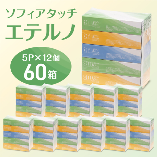 0012-107-01 マスコー製紙 ソフィアタッチ エテルノ ティッシュペーパー 150組×5箱×12パック (60箱) 2518298 - 静岡県富士宮市