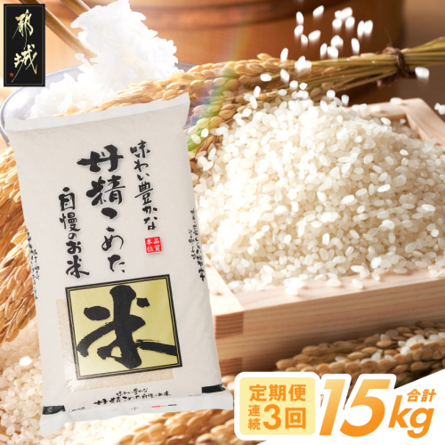 ≪3回お届け!≫都城産米と国産米ブレンド 5kg_T31E-3-33-001-5kg 2518368 - 宮崎県都城市