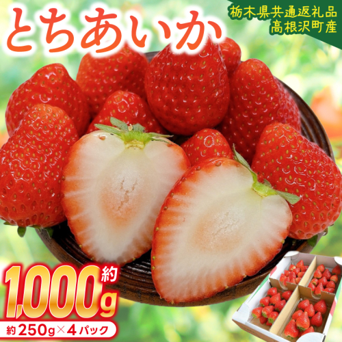 【順次発送】栃木県産 とちあいか 合計1,000g (250g以上×4パック) 農家直送 家庭用 和饗エコファーム【栃木県共通返礼品/高根沢町産】｜栃木県 ふるさと納税 いちご イチゴ 苺 果物 フルーツ とちあいか 熟成 (DW001) 2518439 - 栃木県益子町