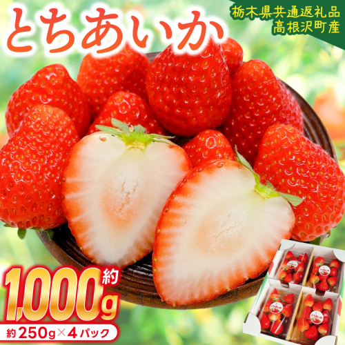 【先行予約】栃木県産 とちあいか 合計1,000g (250g以上×4パック) 農家直送 家庭用 和饗エコファーム【栃木県共通返礼品/高根沢町産】｜栃木県 ふるさと納税 いちご イチゴ 苺 旬 果物 フルーツ とちあいか(DW001) 2518439 - 栃木県益子町