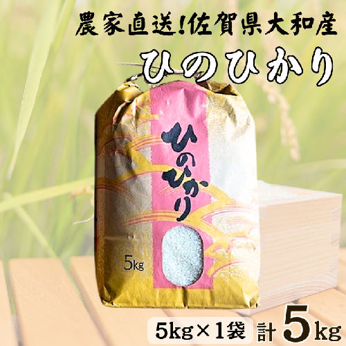 佐賀県大和産「ひのひかり」5kg 米 農家直送：B170-034 2518441 - 佐賀県佐賀市