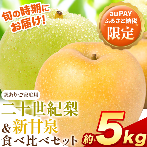 【auPAYふるさと納税限定】梨 なし 二十世紀梨 新甘泉 食べ比べセット 約5kg《2026年8月下旬-9月下旬頃出荷》二十世紀梨 梨 ご家庭用 旬 二十世紀 鳥取県 八頭町 なし 果物 フルーツ 特産品 送料無料 デザート【2026年先行予約】 2518442 - 鳥取県八頭町