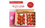 群馬県産いちご　やよいひめ　約400g×2トレー【1710522】