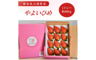 群馬県産いちご　やよいひめ　約400g【1710534】
