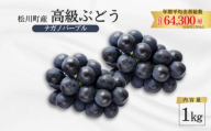ぶどう ナガノパープル 約1kg ／2026年8月中旬頃～10月頃 配送予定［TK34］//長野県 南信州 松川町産 種なし 皮ごと 南信州 長野県 オリジナル品種 稀少 高糖度 高品質 人気 贈答 ギフト