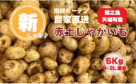 【新じゃが】徳之島 天城町産 赤土じゃがいも 5kg M～2L 混合サイズ 南部ガーデン ジャガイモ ばれいしょ バレイショ CB-5
