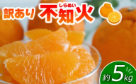 訳あり 不知火 約5kg [2026年3月頃から順次発送]| みかん 愛媛 松山 フルーツ 果物 くだもの 数量限定 期間限定 送料無料 柑橘 みかん フルーツ 果物 みかん 愛媛県 松山市