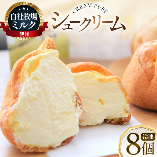 シュークリーム 冷凍 8個 [岩瀬牧場 北海道 砂川市 12260955] 冷凍配送 お菓子 おやつ お取り寄せ スイーツ しゅーくりーむ 2518768 - 北海道砂川市