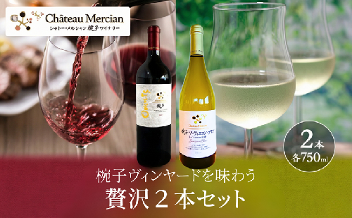 椀子ヴィンヤードを味わう贅沢赤白セット　ワイン 赤ワイン 白ワイン お酒 酒 アルコール 長野 長野県 上田市 2518811 - 長野県上田市