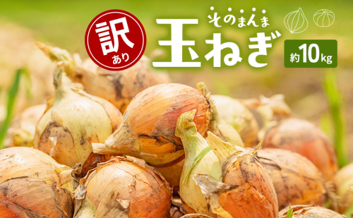 訳ありそのまんま玉ねぎ　約10kg 2519050 - 香川県東かがわ市