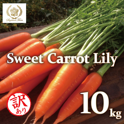 メディア出演多数！！ 【期間限定】（訳あり）鈴盛農園の甘～いにんじん 『スウィートキャロットリリィ』 10kg 人参 甘い ご家庭用 ジュース サラダ スムージー ジューシー 安心 H022-020 2519051 - 愛知県碧南市