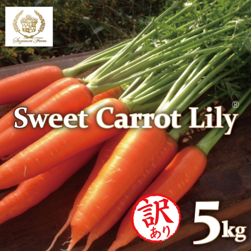 メディア出演多数！！ 【期間限定】（訳あり）鈴盛農園の甘～いにんじん 『スウィートキャロットリリィ』 5kg 人参 甘い ご家庭用 ジュース サラダ スムージー ジューシー 安心 H022-019 2519052 - 愛知県碧南市