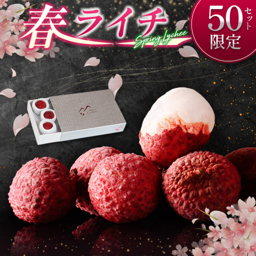 ［50セット限定］旬を先取り！4月出荷の春ライチ「モリノライチ」数量限定 ※4月20日～4月28日 期間内出荷 国産 ブランド フルーツ 果物 贈答品【S30】 2519053 - 宮崎県新富町