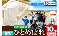 《定期便10ヶ月》令和7年産【白米】特別栽培米 ひとめぼれ 10kg（5kg×2袋）秋田県産 [ひとめぼれ 米 お米 白米 精米 特別栽培米 ブランド米 食卓 秋田県産 秋田県 由利本荘市]
