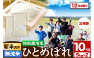 《新米予約》《定期便12ヶ月》令和8年産【無洗米】特別栽培米 ひとめぼれ 10kg（5kg×2袋）秋田県産 [ひとめぼれ 米 お米 白米 精米 無洗米 特別栽培米 ブランド米 食卓 秋田県産 秋田県 由利本荘市]